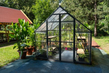 Photo for Greenhouse in the garden. Glass small compact greenhouse for growing flowers, vegetables, seedlings of various plants. Gardening. Beautiful glass building house in yard. Hobby no dig. - Royalty Free Image