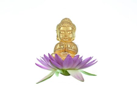 Nahaufnahme einer kleinen Buddha-Statue, die auf einer rosa Lotusblume auf weißem Hintergrund sitzt.