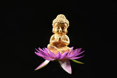 Close-up of a little Buddha statue sitting on a pink lotus flower isolated on blck background.