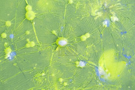 Photo for Green bacteria colony forming bubbles on contaminated sewage water - Royalty Free Image