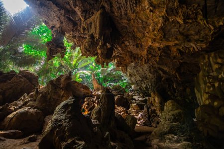 Téléchargez les photos : Landscape of cave and tree Hup Pa Tat, Uthai Thani, Thailand - en image libre de droit