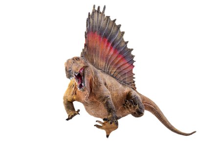 Foto de Dinosaurio, Dimetrodon fondo aislado - Imagen libre de derechos