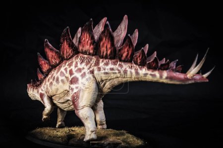 Photo for Dinosaur stegosaurus in the dark - Royalty Free Image