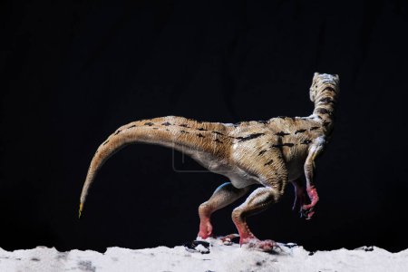 Photo for Velociraptor dinosaur  in the dark - Royalty Free Image
