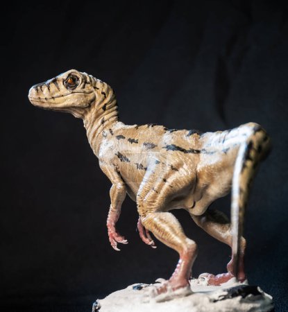 Photo for Velociraptor dinosaur  in the dark - Royalty Free Image
