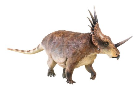 Styracosaurus dinosaurus auf isoliertem Hintergrund 