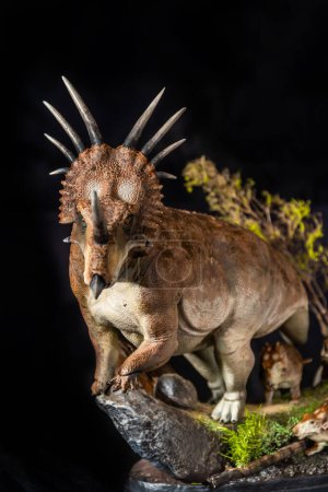 Styracosaurus dinosaur in the dark