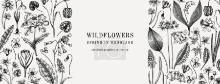 Illustration for Horizontal vintage banner with wildflowers sketches. Floral design in sketched style. Delicate black contoured blooming flowers border. Spring woodland or garden botanical vector background for print - Royalty Free Image