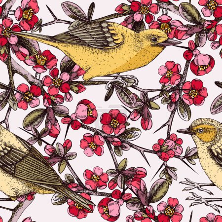 Illustration for Vector spring background in engraved style. Yellow warbler sitting on blooming Japanese quince branch sketches in color. Songbird with beautiful flowers seamless pattern design for prints or textiles - Royalty Free Image