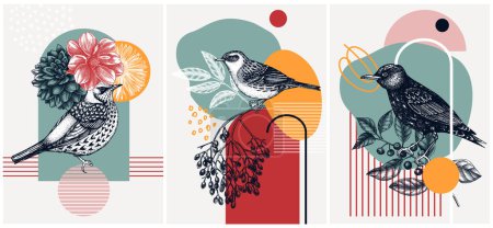 Illustration for Collage-style bird cards set. Sketched birds trendy poster collection. Creative designs with botanical illustrations, geometric shapes, and abstract elements for nature print, wall art, packaging. - Royalty Free Image
