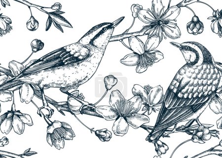Illustration for Nuthatches on cherry blossom sketch background in engraved style. Spring seamless pattern with contoured birds and sakura drawing isolated on white. Botanical vector illustration of blooming branches. - Royalty Free Image