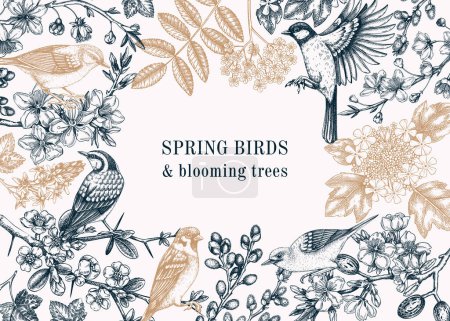 Illustration for Spring garden background. Vintage frame designs with birds, flowers, leaves and blooming tree branches. Hand drawn almond, willow, rowan, willow, cherry blossom floral sketches for prints or banners - Royalty Free Image