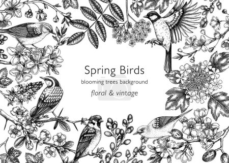 Téléchargez les illustrations : Spring birds vintage frame designs. Vector background with birds, flowers, blooming tree branches in sketched style. Almond, willow, rowan, willow, cherry blossom. Hand drawn floral sketch for print - en licence libre de droit