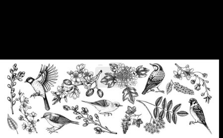 Blühende Zweige und Vögel Zeichnungen Sammlung. Weinlese Kirsche, Mandel, Weide, Eberesche, Johannisbeere Blumen Skizzen gesetzt. Botanische Vektor-Illustrationen des Frühlings blühende Bäume isoliert weißen Hintergrund
