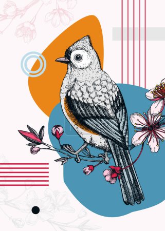 Illustration for Collage-style bird card. Sketched Tufted titmouse on cherry trendy poster. Creative designs with botanical illustrations, geometric shapes, and abstract elements for nature print, wall art, packaging. - Royalty Free Image