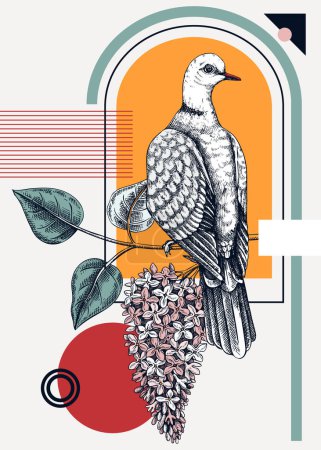 Illustration for Collage-style bird card. Sketched dove trendy poster. Creative designs with bird sketch, botanical illustrations, geometric shapes, and abstract elements for nature print, wall art, packaging. - Royalty Free Image