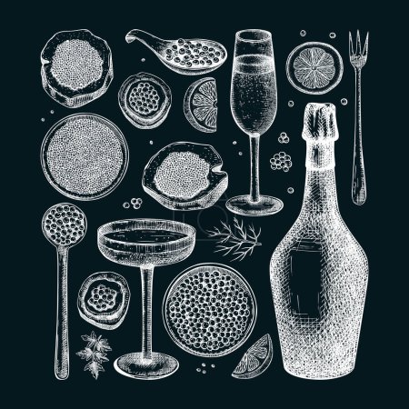 Caviar and champagne hand drawn illustrations collection. Hand drawn red caviar canape, canned black caviar, sparkling wine bottle, glasses sketches set. Seafood drawings isolated chalkboard