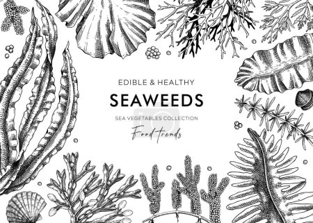 Illustration for Edible seaweed frame design in sketch style. Hand-drawn sea vegetables - kelp, wakame, hijiki, kombu, nori vector food illustrations. Healthy food ingredients background. Japanese cuisine menu - Royalty Free Image