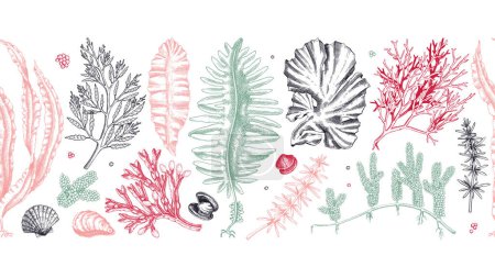 Essbare Algen nahtlose Muster in Farbe. Handgezeichnetes Meeresgemüse - Seetang, Kombu, Wakame, Hijiki-Zeichnungen. Unterwasser-Algenband im Skizzenstil. Asiatische Küche oder gesundes Lebensmitteldesign 