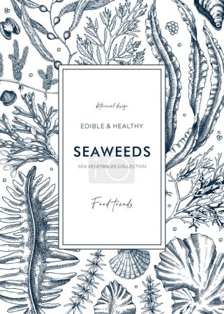 Illustration for Hand-drawn edible seaweeds frame design. Sea algae in sketch style. Vector illustration with kelp, wakame, kombu, and hijiki drawings. Healthy food ingredients banner for Asian cuisine menu. - Royalty Free Image