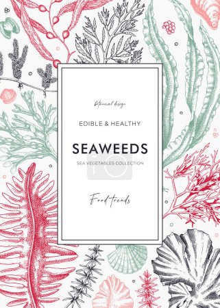 Hand-drawn seaweeds frame design. Edible algae in sketch style. Underwater plants vector illustration with kelp, wakame, kombu, and hijiki drawings. Healthy food ingredients banner for Asian cuisine 