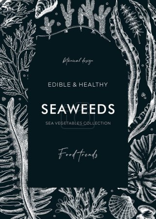 Illustration for Edible seaweeds frame design on chalkboard. Hand drawn sea algae in sketch style. Vector illustration with kelp, wakame, kombu, and hijiki drawings. Healthy food ingredients banner for Asian cuisine - Royalty Free Image