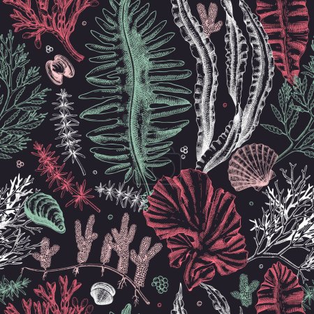 Illustration for Sea life vector background. Edible seaweed seamless pattern. Hand-drawn kelp, kombu, wakame, hijiki, seashells illustrations. Underwater algae sketch style. For print, menu design or wrapping - Royalty Free Image