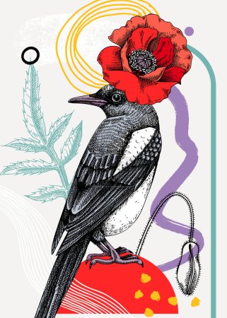 Illustration for Collage style magpie vector illustration. Hand-sketched bird with poppy flower. Trendy design with botanical, geometric shapes, and abstract elements. Perfect for print, poster, card, social media - Royalty Free Image