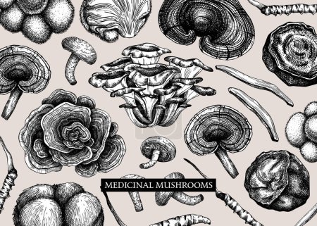 Medicinal mushroom vector background. Sketched adaptogenic plants banner design. Perfect for traditional medicine recipe, menu, label, packaging. Magic fungi sketches 