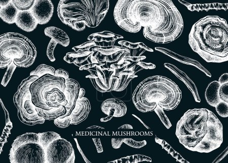 Medicinal mushroom vector background. Sketched adaptogenic plants banner design. Perfect for traditional medicine recipe, menu, label, packaging. Magic fungi sketches on chalkboard 
