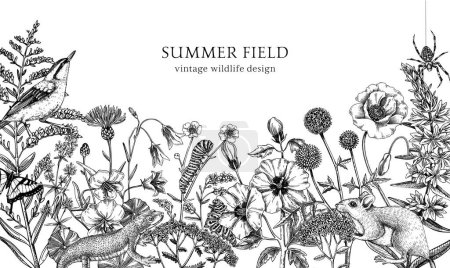 Illustration for Summer design  in sketched style. Botanical drawings of wildflowers, herbs, meadows, berries, animals and birds. Vintage wildlife vector illustrations. Hand drawn field plants background - Royalty Free Image