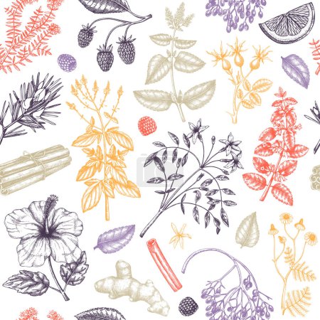 Ilustración de Ingredientes de té dibujados a mano fondo en color. Bocetos vectoriales de hierbas, flores, frutas y bayas en estilo grabado. Patrón sin costura de té de hierbas para textiles, telas, envases - Imagen libre de derechos