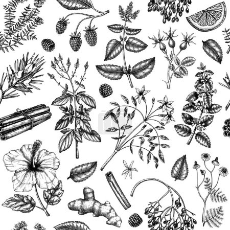 Illustration for Hand drawn tea ingredients background. Vector sketches of herbs, flowers, fruits and berries in engraved style. Herbal tea seamless pattern for textile, fabric, packaging - Royalty Free Image