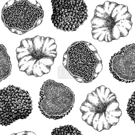 Truffle seamless pattern.  Edible mushroom background. Forest fungus sketch. Fungal protein, mycoprotein source. Healthy food and plant-based meat substitutes texture design