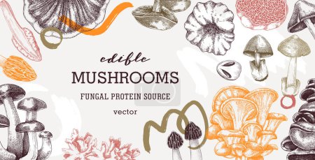 Illustration for Collage-style mushrooms vector background. Trendy autumn forest plant frame. Fall banner design with hand drawn fungi sketches and abstract shapes. Healthy food, fungal protein vector illustration - Royalty Free Image