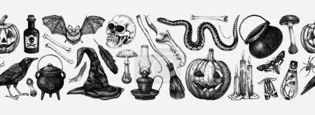 Téléchargez les illustrations : Bordure vectorielle Halloween vintage. Crâne, os, citrouille, champignons toxiques, serpents, croquis de corbeau. Fond de sorcellerie dessiné à la main. Modèle sans couture pour la conception magique, décoration, impression - en licence libre de droit