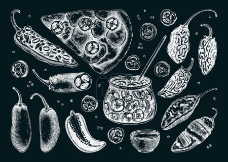 Ilustración de Conjunto de bocetos de chile jalapeño maduro. Especias calientes, vegetariano, comida saludable ilustración vectorial dibujado a mano en pizarra. Elementos de diseño de menú de cocina mexicana. Rodajas y semillas de Jalapeño para envasado - Imagen libre de derechos