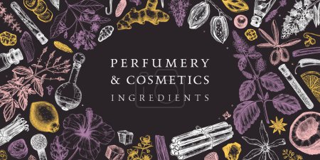 Illustration for Perfumery and cosmetics ingredients banner. Flower, fruit, spice, herb sketches. Hand drawn vector illustration. Cosmetics design template. Aromatic plants background - Royalty Free Image
