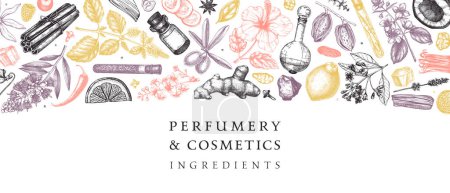 Illustration for Perfumery and cosmetics ingredients banner. Flower, fruit, spice, herb sketches. Hand drawn vector illustration. Cosmetics design template. Aromatic plants background - Royalty Free Image