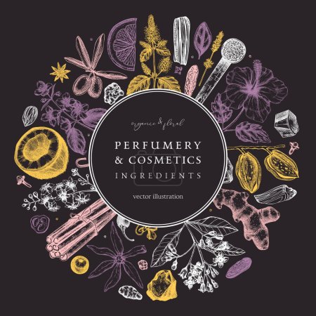 Illustration for Aromatic plants wreath. Perfumery and cosmetics ingredients banner. Flower, fruit, spice, herb sketches. Hand drawn vector illustration. Packaging design template. - Royalty Free Image