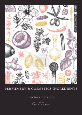 Illustration for Aromatic plants flyer template. Perfumery ingredients banner. Flower, fruit, spice, herb sketches. Hand drawn vector illustration. Cosmetics packaging design - Royalty Free Image