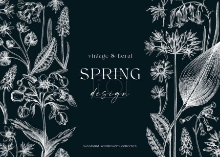 Vintage spring background. Hand drawn vector illustration. Floral frame on chalkboard. Woodland wild flower sketches. Wildflowers design template