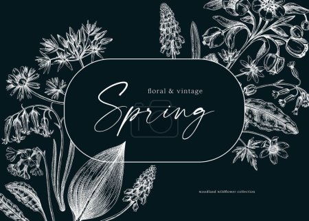 Delicate spring frame template. Hand drawn vector illustration on chalkboard. Woodland wild flower sketches. Floral background. Wildflower card, invitation design.