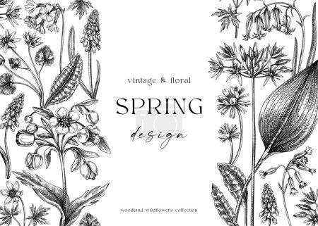 Illustration for Vintage spring background. Hand drawn vector illustration. Vintage floral frame. Woodland wild flower sketches. Wildflowers design template - Royalty Free Image