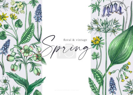 Illustration for Realistic floral background. Woodland wild flower sketches. Hand-drawn vector illustrations. Botanical design in color. Wildflowers frame. - Royalty Free Image