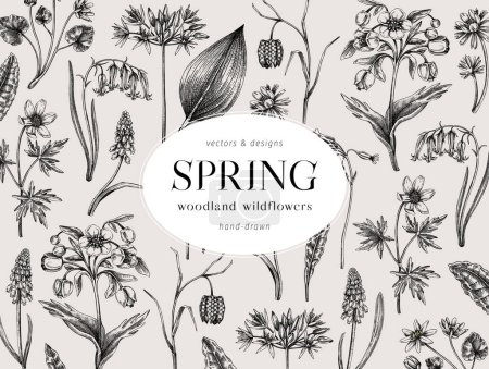 Frühling Blumen Hintergrund. Wildblumen-Skizzen. Botanisches Design, Vintage-Vorlage, floraler Rahmen. Handgezeichnete Vektor-Illustrationen, NICHT generierte KI