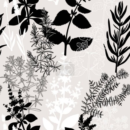 Téléchargez les illustrations : Fond d'herbes de Provence style collage. Plantes à base de plantes dessinées à la main illustrations vectorielles. Modèle sans couture avec sauge, menthe poivrée, romarin, croquis de lavande. PAS AI généré - en licence libre de droit