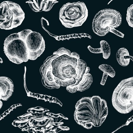 Nahtloses medizinisches Pilzbild. Heilpflanzen-Skizzen. Handgezeichnete Vektorillustrationen. Chinesischer pflanzlicher Hintergrund. Nicht generierte KI