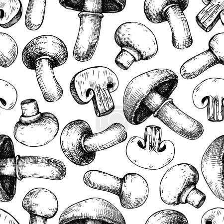 Champignon seamless pattern. Edible mushrooms background. Hand-drawn vector illustration. Mushroom sketch. Not AI generaten