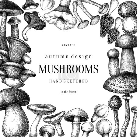 Edible mushrooms background. Hand drawn vector illustration. Forest mushroom sketches. NOt AI generated